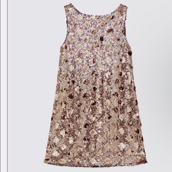 ZARA Sequined Mini Dress, with “reversible sequins” - Picture 12 of 12